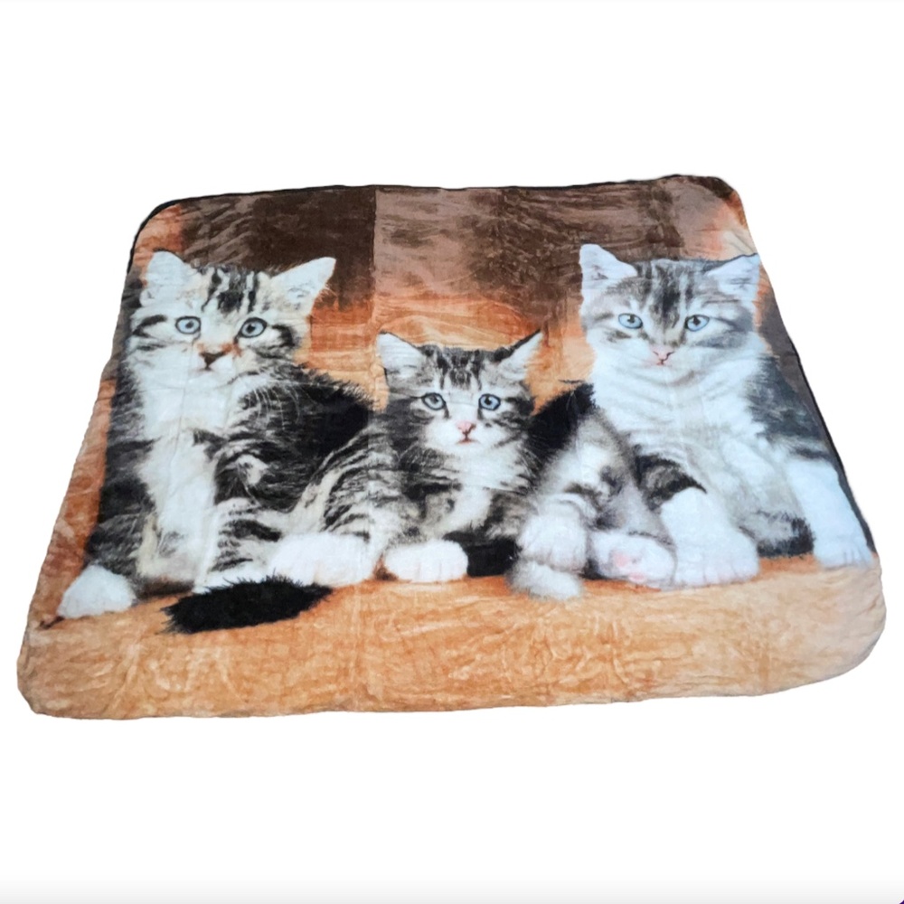 Cat Kitten Kitty Cats Plush Throw Blanket Polyester 50" x 60" New Gray White